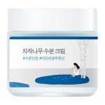Round Lab Birch Juice Moisturizing Cream